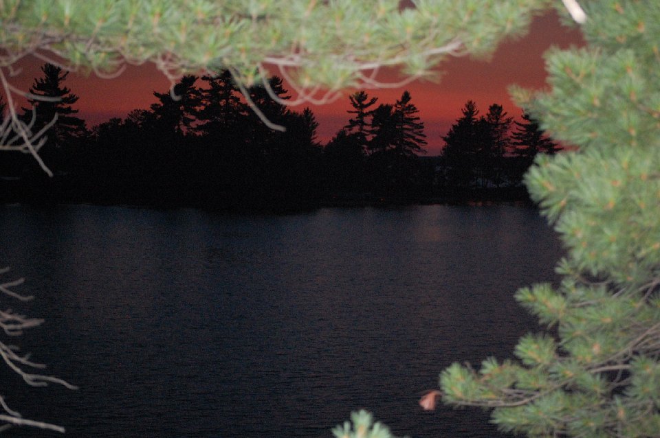 SUMMER (158)